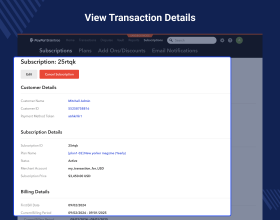 Odoo Website Payment Braintree Recurring