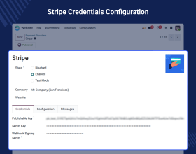 Odoo Website Payment Stripe Recurring For Enterprise