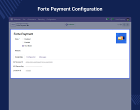 Odoo Forte Payment Acquirer