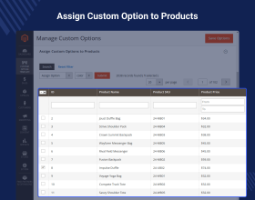 Custom Option Template for Magento 2