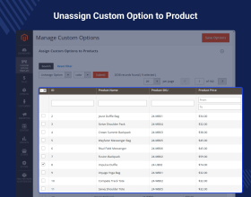 Custom Option Template for Magento 2