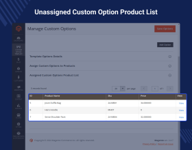 Custom Option Template for Magento 2