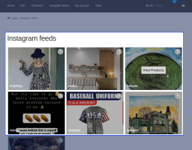 Social Feed for WooCommerce