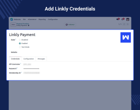 Odoo Website Linkly Payment Acquirer