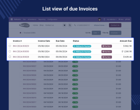 Website Multi Invoice Payments 