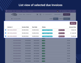 Website Multi Invoice Payments 