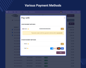 Website Multi Invoice Payments 