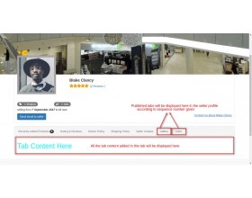 Odoo Marketplace Seller Profile Tabs