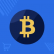 Bagisto BitPay Payment Method