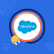 Shopify Salesforce Connector