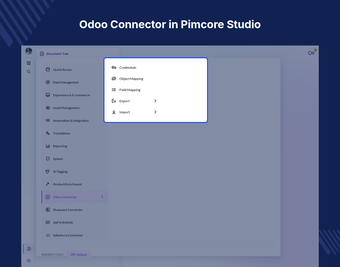 Pimcore Odoo Connector