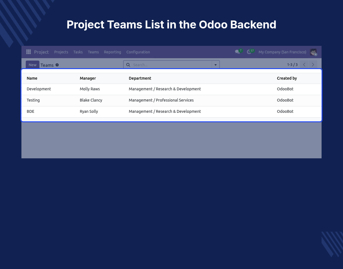 Odoo Project Advance Team Management