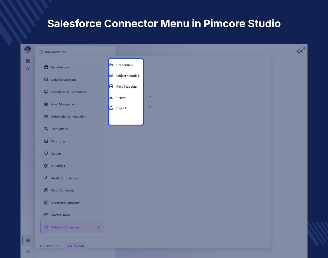 Pimcore Salesforce Connector