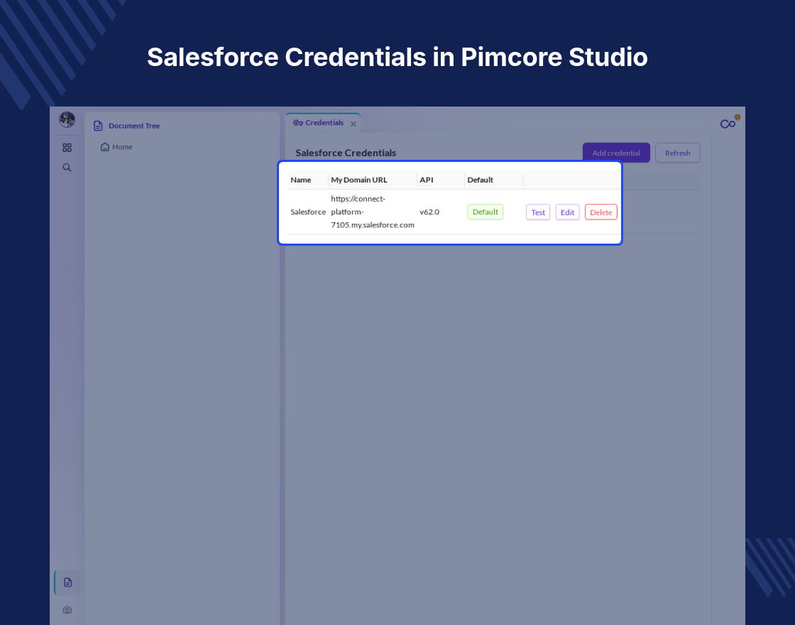Pimcore Salesforce Connector