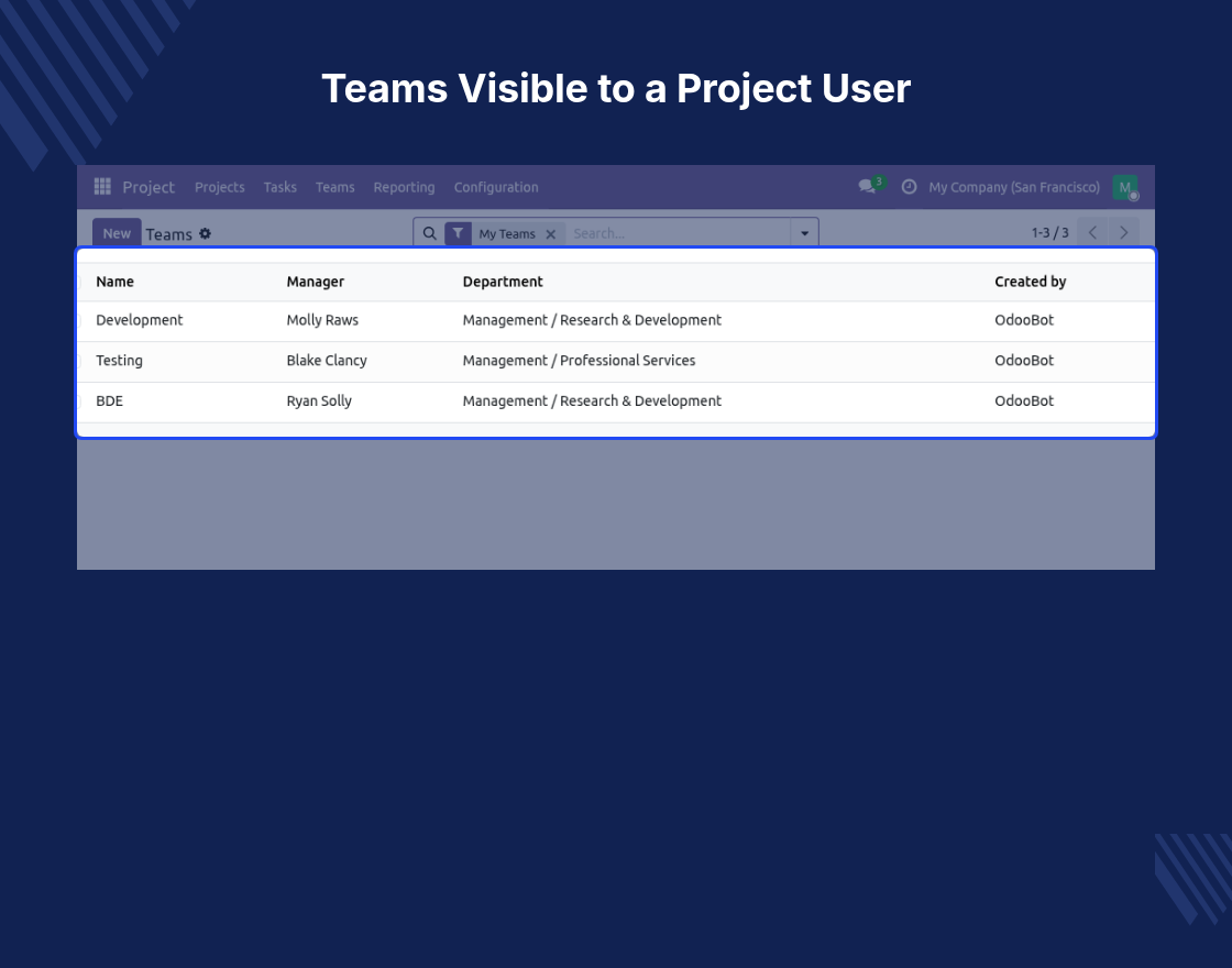 Odoo Project Advance Team Management