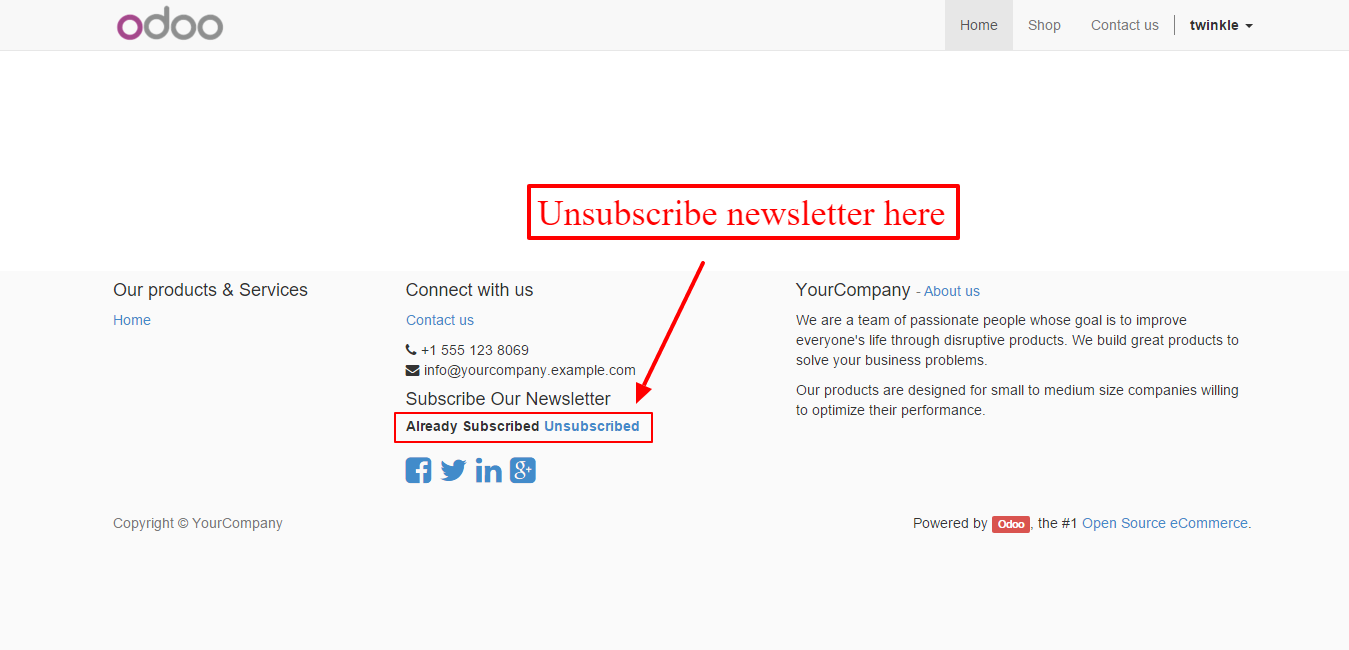 Odoo Website Newsletter