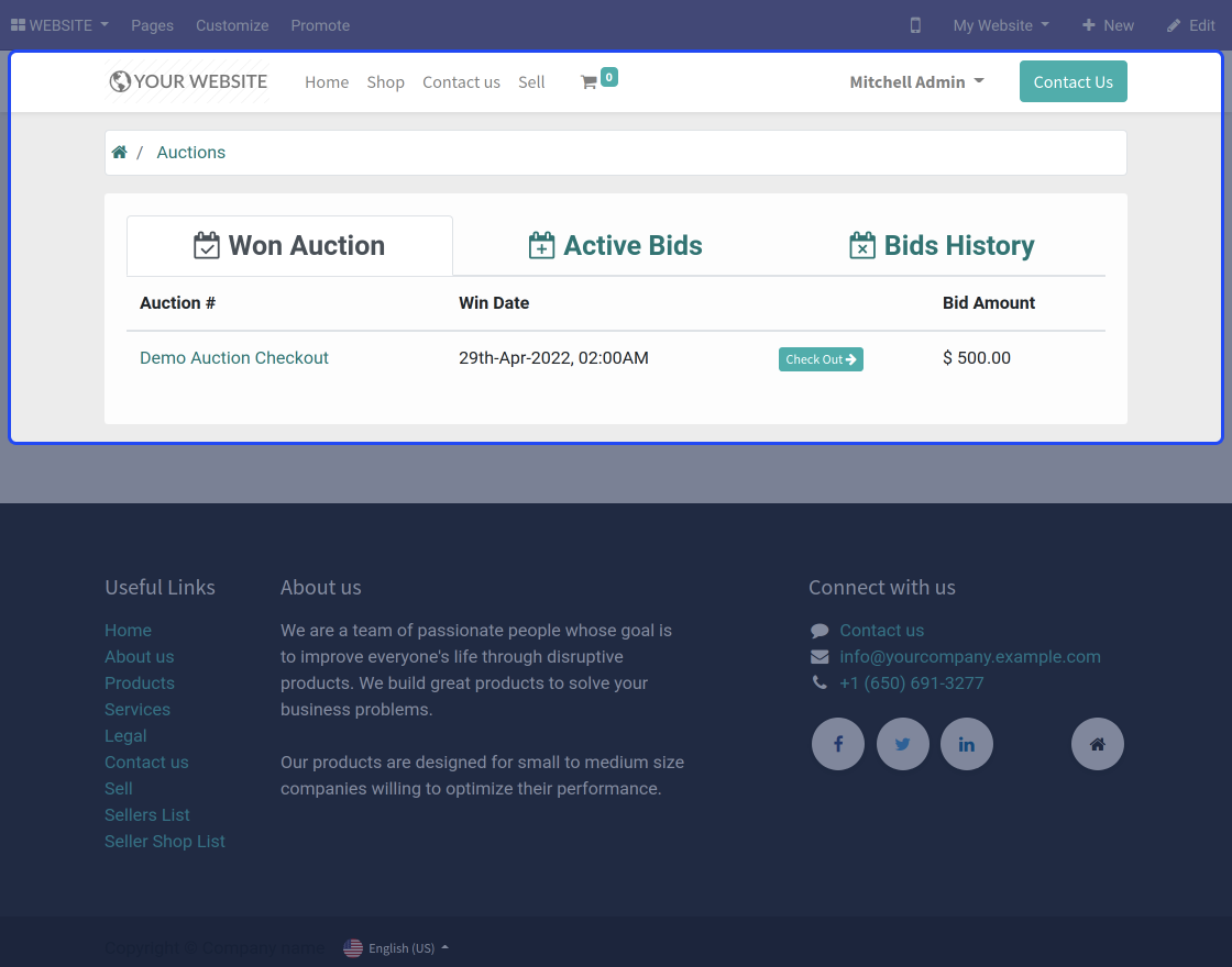 Odoo Marketplace Seller Auction