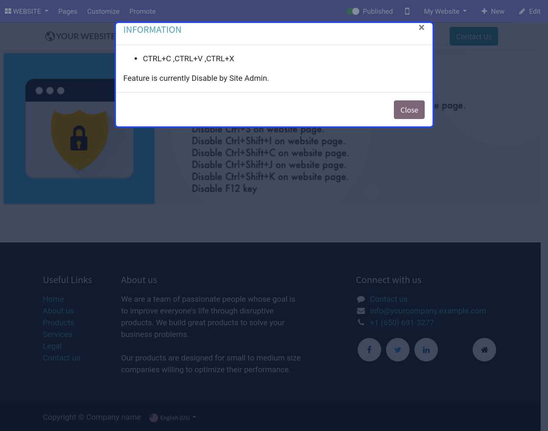 Odoo Website Stop/Block Content Copy