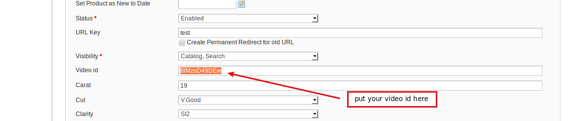 Magento (OpenMage) Image Video Switcher