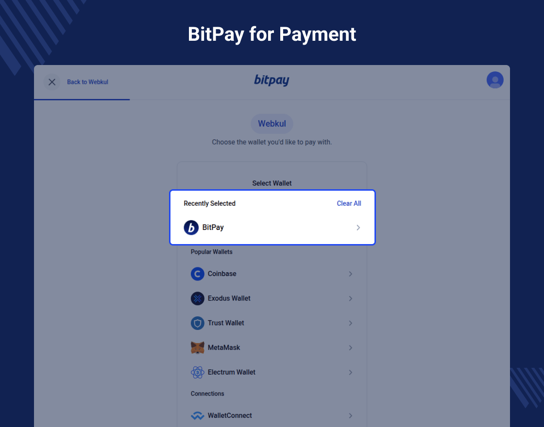 Bagisto BitPay Payment Method
