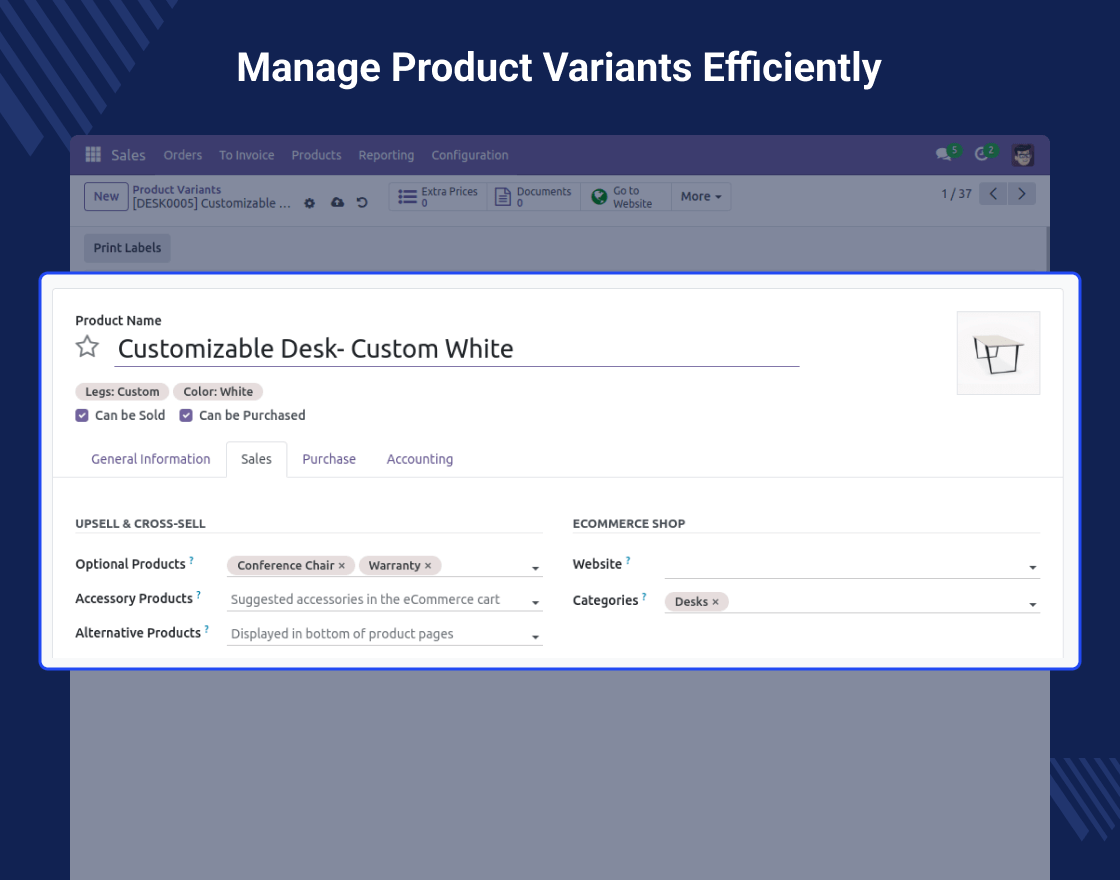 Odoo Website Product Data Per Variant