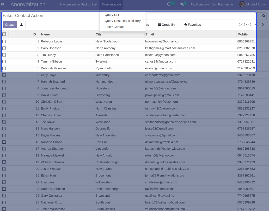 Odoo Database Anonymization
