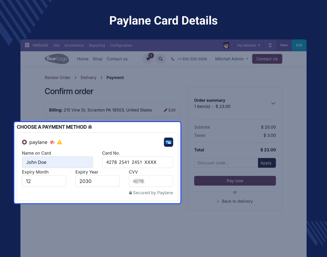 Odoo Website PayLane Payment Provider