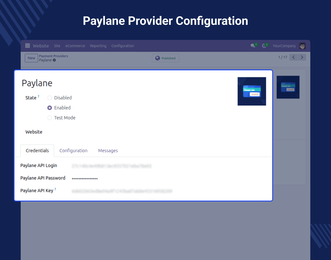 Odoo Website PayLane Payment Provider