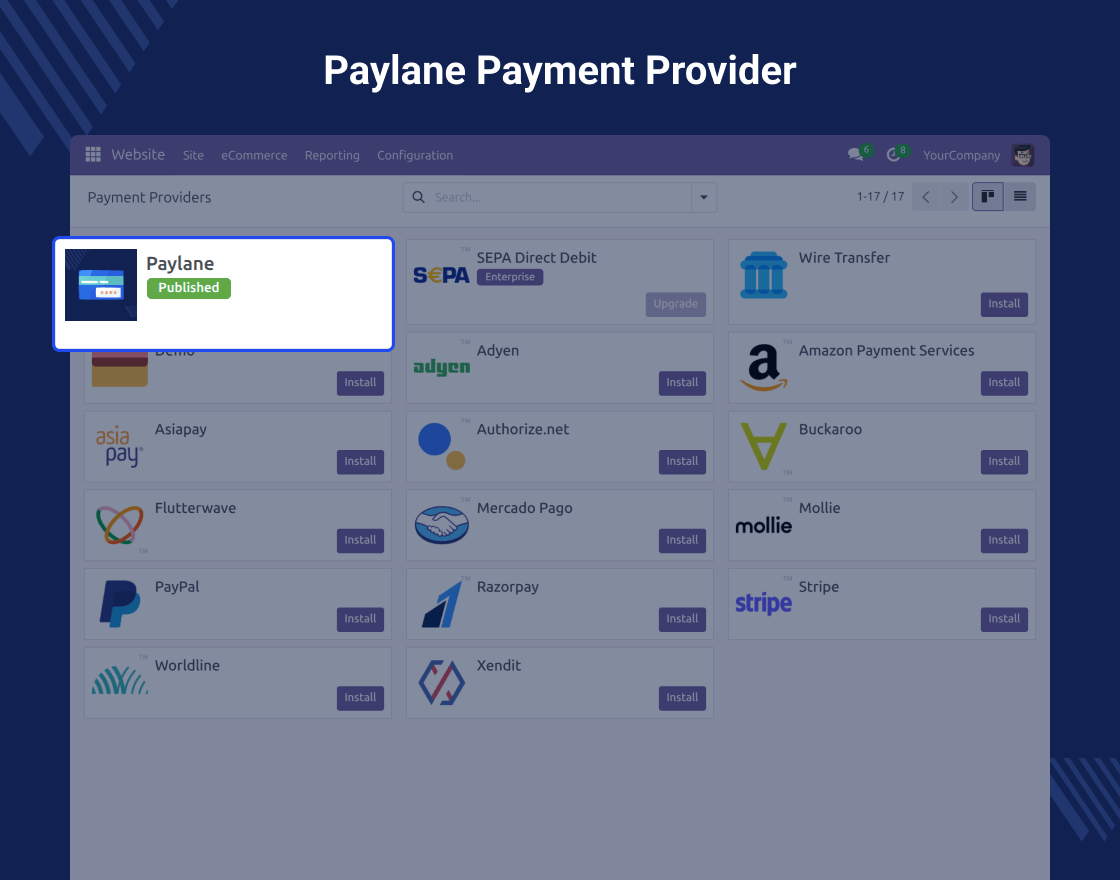 Odoo Website PayLane Payment Provider