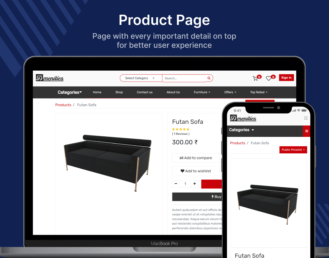 Odoo Website Theme: Amenities
