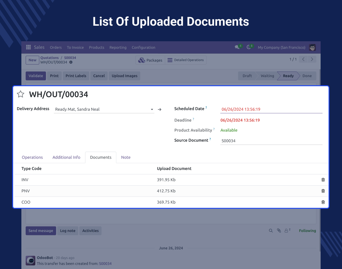 Odoo DHL Express PLT Extension