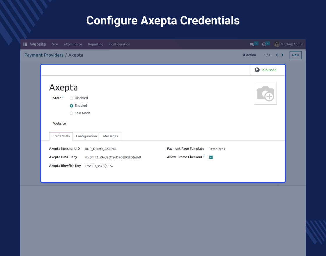 Odoo Website Axepta Payment Gateway