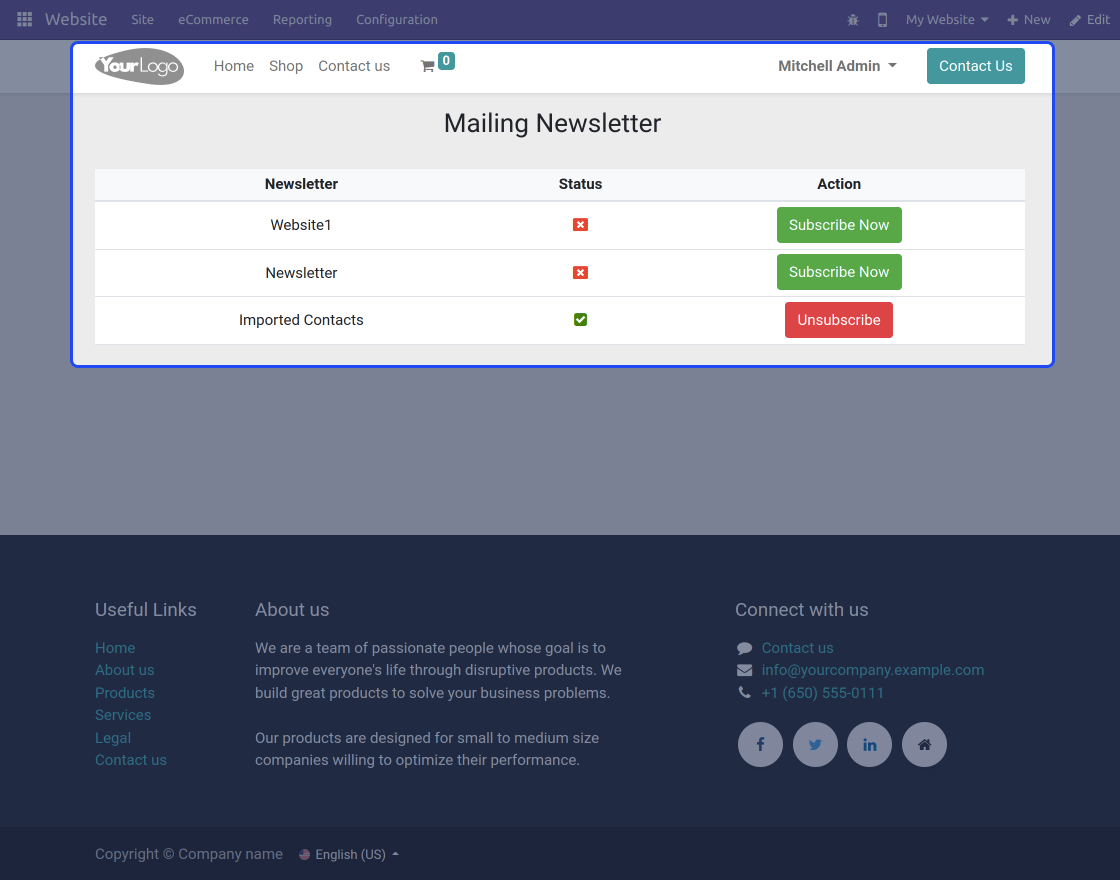 Odoo Website Mass Mailing Newsletter