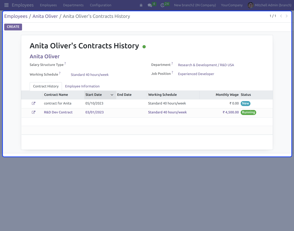 Odoo Multi Branch Employee