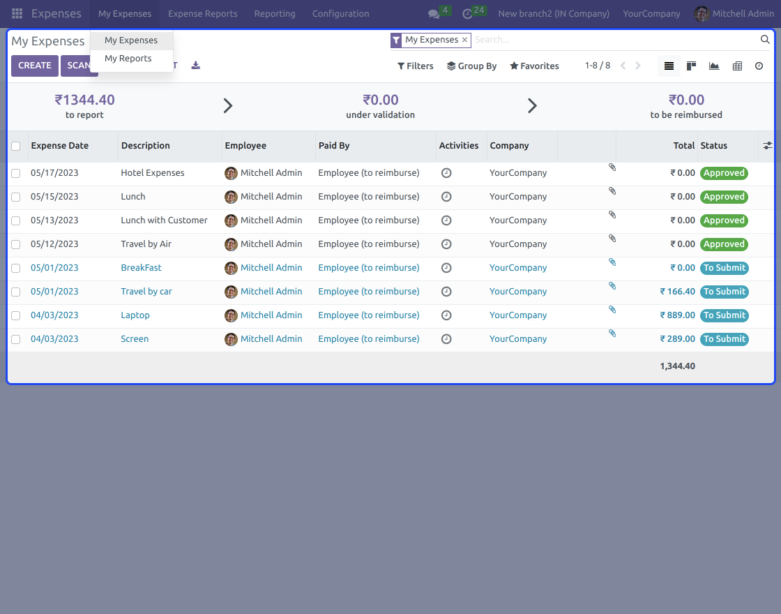 Odoo Multi Branch Employee
