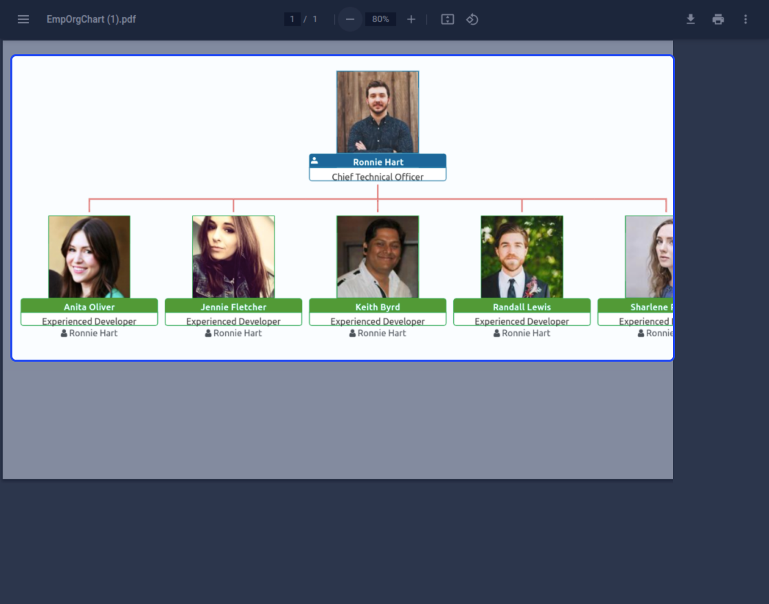 Odoo Employee Organizational Chart