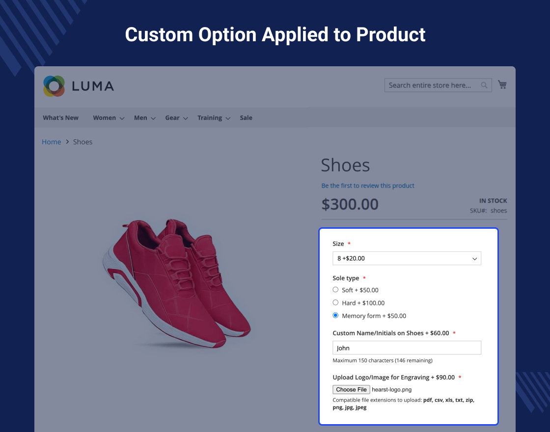 Magento 2 Custom Option Marketplace Add-on