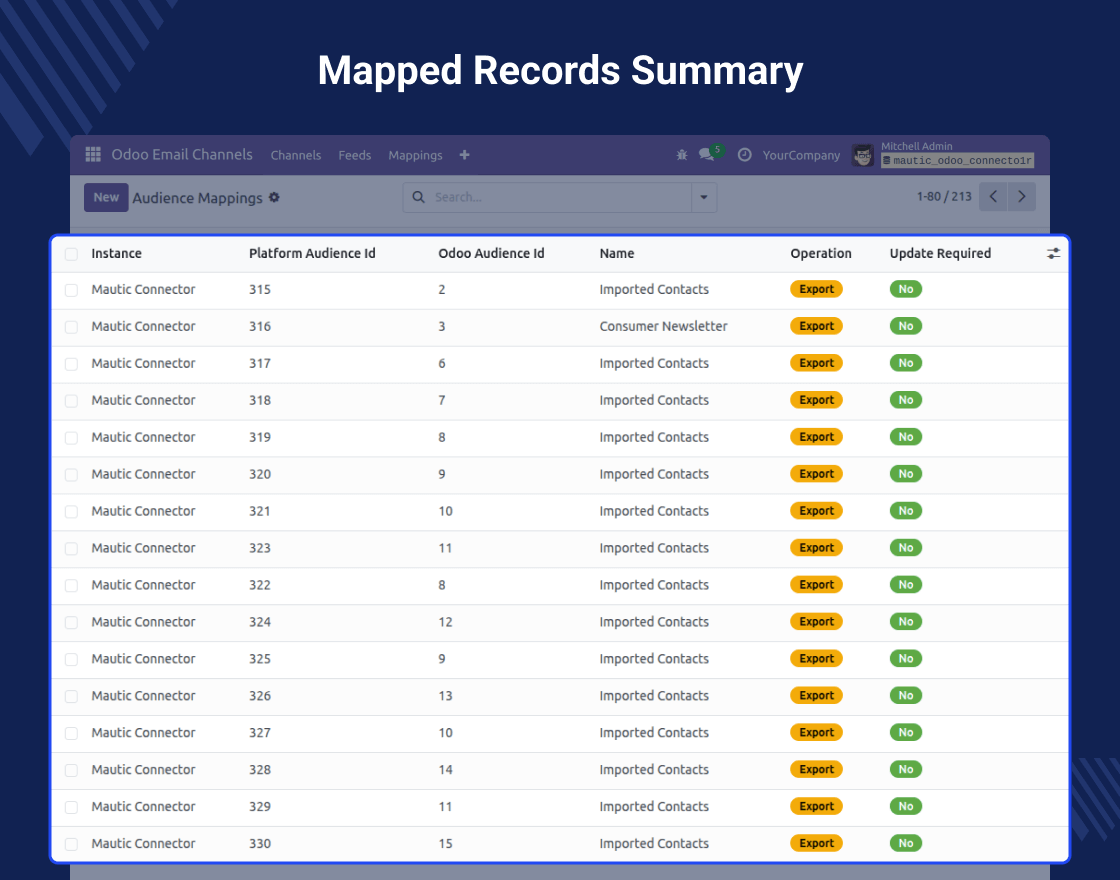 Odoo MultiChannel Email Marketing