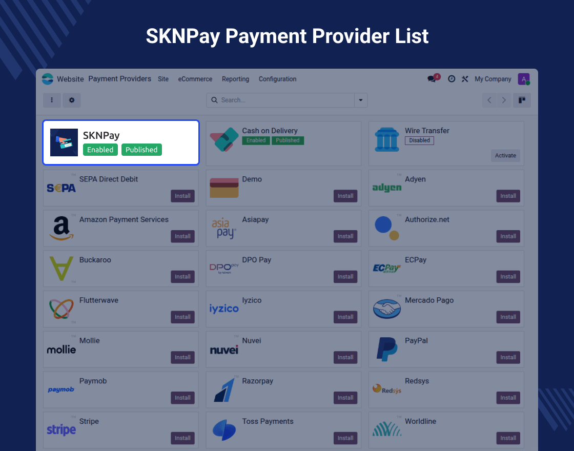 Odoo SKN Pay Payment Provider
