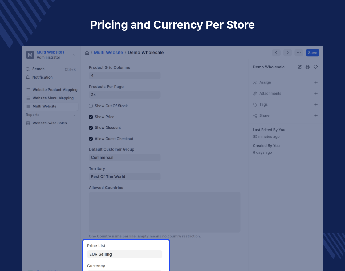 ERPNext Multi Website