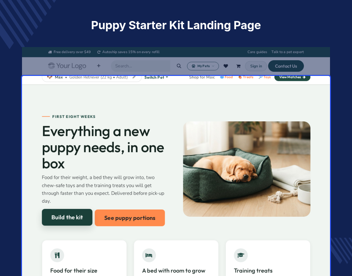 Odoo Petlivo | Pet Store and Products Theme