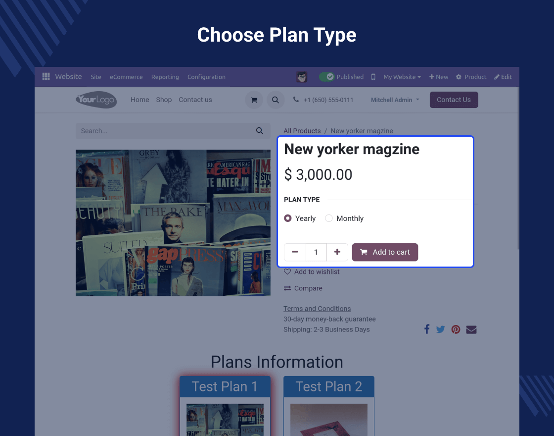 Odoo Website Payment Braintree Recurring