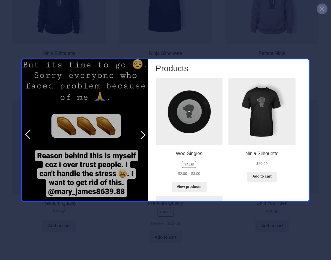 Social Feed for WooCommerce